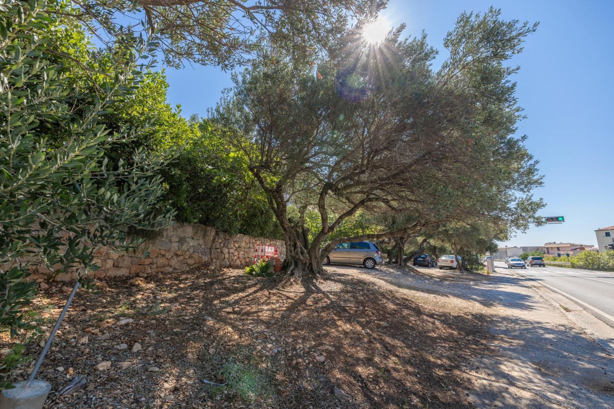 Apartmani Marta Tucepi Bagian luar foto