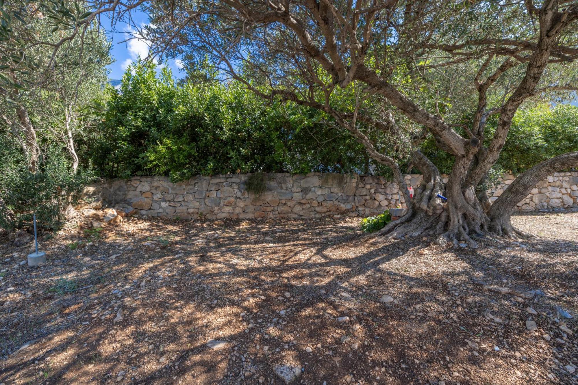 Apartmani Marta Tucepi Bagian luar foto