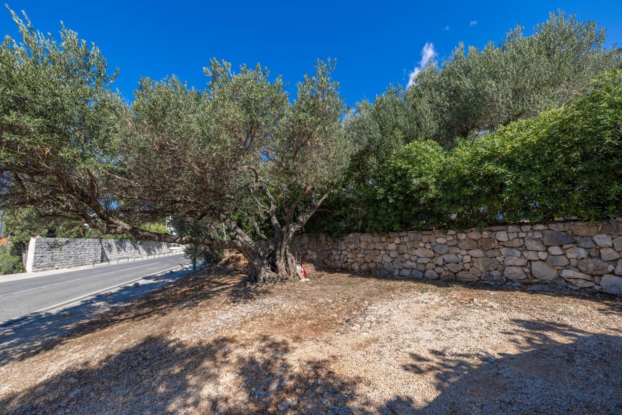 Apartmani Marta Tucepi Bagian luar foto
