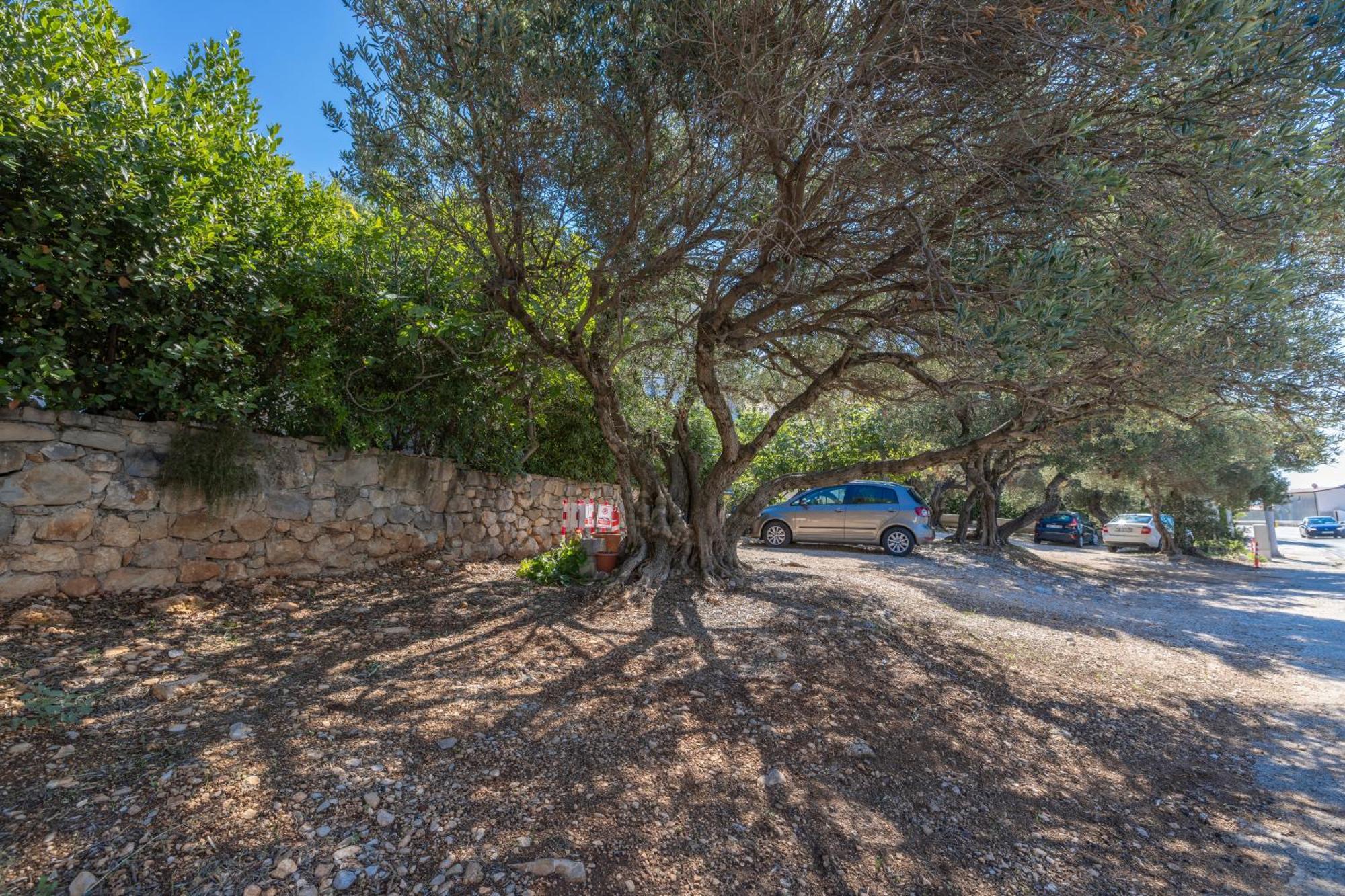 Apartmani Marta Tucepi Bagian luar foto
